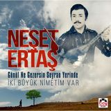 Bey Plak Neşet Ertaş - Gönül Ne Gezersin Seyran Yerinde/ İki Büyük Nimetim Var 33 Plak Halk Müziği ATİ MÜZİK