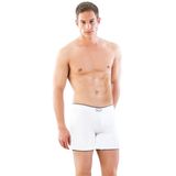BEYAZ 2108 Seamless uzun Erkek Boxer