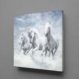 Beyaz Atlar Ülkesi Kanvas Tablo 140x140cm