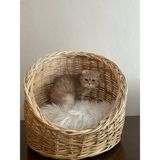 Beyaz Atölye Kedi Köpek Sepeti Büyük Boy Hasır Malzeme ile Hafif ve Taşınabilir Özellikte