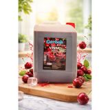 Beyaz Çardak 1+5 VİŞNE AROMALI KONSANTRE ŞURUP 5KG