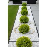 Beyaz Dolomit Taş 10 kg 1-2 cm Dere Çakıl Taşı Bahçe ve Teraryum Süs Taşı - Seçenek 1 - Antrasit