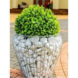 Beyaz Dolomit Taş 10 kg 6-10 Cm, Bahçe, Teraryum, Akvaryum, Süs Taşı - Seçenek 1 - Antrasit
