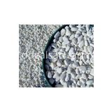 Beyaz Dolomit Taş 2 Kg 2-4 Cm Dere Taşı Çakıl Taşı Saksı Taşı Akvaryum Teraryum Taşı Bahçe Taşı