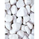 Beyaz Dolomit Taş 2 kg 4-6 cm Dere Taşı Çakıl Taşı Saksı Taşı Akvaryum Teraryum Taşı Bahçe Taşı