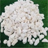 Beyaz Dolomit Taş 25 kg 1,5-2 cm Dere Çakıl Taşı Bahçe Süs Saksı Teraryum Akvaryum