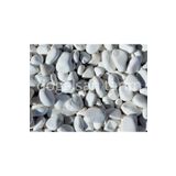 Beyaz Dolomit Taş 4 Kg 2-4 Cm Dere Taşı Çakıl Taşı Saksı Taşı Akvaryum Teraryum Taşı Bahçe Taşı Çok Renkli