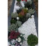 Beyaz Dolomit Taş 5 Kg 2 4 Cm Bahçe Süs Taşı Dekoratif Aksesuarı 64 X 32