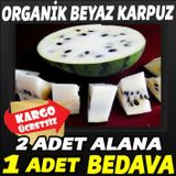BEYAZ KARPUZ TOHUMU 5 ADET TOHUM