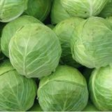 Beyaz Lahana Tohumu 500+ Tohum N11.1212
