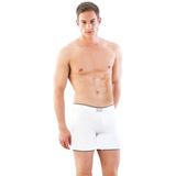 BEYAZ MI Emay 2108 Seamless uzun Erkek Boxer
