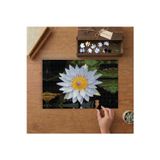 Beyaz Nilüfer Çiçeği Tasarımı 240 Parça Ahşap Puzzle Ahşap Kutuda MP06335