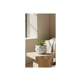 Beyaz Noktalı Terracotta Saksı Vazo Salon Ofis Dekoru