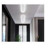 Beyaz Oval 60X16CM 4000k Işık Rengi, Kumandalı, LED Tavan Lambası, oval Avize, modern Aydınlatma