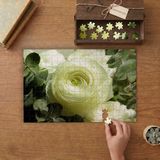 Beyaz Ranunculus (Düğün Çiçeği) Tasarımı 240 Parça Ahşap Puzzle Ahşap Kutuda MP07370
