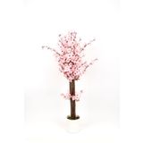 BEYAZ RENKLİ SAKSIDA TOZ PEMBE RENKLİ 100 CM SONBAHAR RENKLİ YAPAY JAPON BAHARDALI AĞACI
