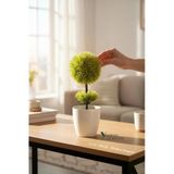 Beyaz Saksı 25 Cm Yapay Top Şimşir Vitrin
