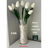 Beyaz Teraryum Saksı Taşı 2 Kg