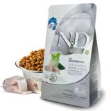 BEYAZ TÜYLÜ KÜÇÜK IRK YAVRU KÖPEKLER 1,5 KG Levrek, spirulina ve rezene Yavru Mini