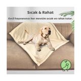 Beylini Kedi Köpek Battaniyesi Premium Peluş Evcil Hayvan Uyku Battaniyesi Yıkanabilir Krem (60X80) - Option-1 - 001
