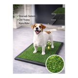BEYLİNİ Köpek Çim Tuvalet Matı Pet Kedi Plastik Havuzlu Drenajlı Kaka Çiş Ped Halısı Hijyenik Paspas Köpek Tuvalet Eğitim Parkı Tuvalet Çiş Eğitimi 45x70cm
