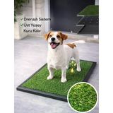 Beylini Köpek Çim Tuvalet Matı Pet Kedi Plastik Havuzlu Drenajlı Kaka Çiş Ped Halısı Hijyenik Paspas Köpek Tuvalet Eğitim Parkı Tuvalet Çiş Eğitimi 50X75cm