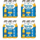 Beyoğlu 250 ml Turuncu Gazozu (24 adet)