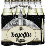 Beyoğlu Zencefilli Aromalı Gazoz 6X250 Ml