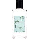 Beyonce 100 ml Mystıc Garden Kolonya - TEA TREE