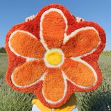Beyond Deco Çiçek Şekilli Halı 88,9 cm, El Tufting Benzersiz Çiçekli Havalı Halı Yatak Odası, Banyo, Mutfak, Oturma Odası için, Yumuşak Estetik Zemin Banyo Paspası