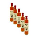 Beyorganik Organik Elma Sirkesi 5'li 500ml (PESTİSİT ANALİZLİ)
