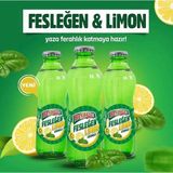 Beypazarı Fesleğen ve Limon Maden Suyu 6'lı 200 ml