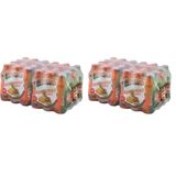 Beypazarı Mango - Ananas Aromalı Maden Suyu (24x200ml) (2 paketi)