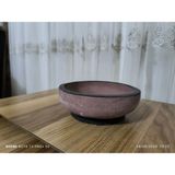 Beyrut Dizayn Çift Taban Taş Vazo Aranjman Bonsai ve Orkide Saksısı