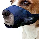 Bez Köpek Ağızlığı No:1 Xs [Enerji Sınıfı A]