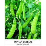 Bezelye Tohumu Tırabi Yaprak - 2 KG