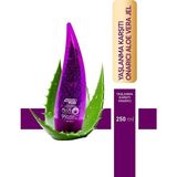 Bezos Aloe Vera Selülit Karşıtı Inceltici Jel 250 ml - Belirtilmemiş
