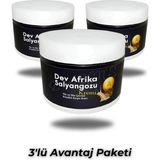 Bezos Das Dev Arfrika Salyangozu Kırışıklık Yara Iltihap Karşıtı Krem 100 ml x 3 Adet - Belirtilmemiş
