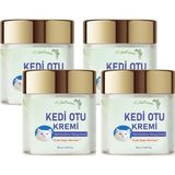 Bezos Otu Kremi 50 ml Kafur Ağacı Yağlı Paincream 4 Adet
