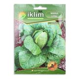 Bezos Tohum Marul Lıtal 5gr
