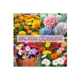 bfalina botanik 40 ADET KOKULU BALKON ÇİÇEKLERİ TOHUM PAKETİ-ÇOK YILLIK (KADİFE, ORTANCA, PETUNYA, GERBERA)