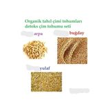 BFHOME Doğal Tahıl Çimi Tohumları Arpa-buğday-yulaf Tohum Çimi Seti 300'er Gr Toplam 900 Gr organik Tohum