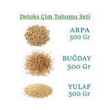 BFHOME Kedi Çimi Buğday Arpa Yulaf Tohumu 100 gr Toplam 300 gr organik