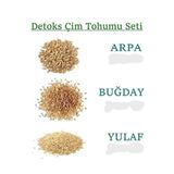 BFHOME Kedi Çimi Buğday Arpa Yulaf Tohumu 250'şer gr Toplam 750 gr