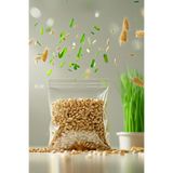 BFHOME Premium Kedi Çimi Tohumu - 500 gr %100 Doğal Buğday Tohumu