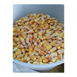 BFHOME Tane Mısır 250 gr temiz organik tohum ekmek yem