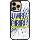 BG AKSESUAR Apple iPhone 15 Pro Max ile Uyumlu Baskılı Glass Korumalı Silikon Kılıf, Fenerbahçe11, Siyah