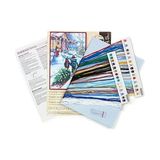 Bg Store Dimensions 70-08960 Sayılı Kanaviçe Seti, Noel Geleneği, 14 Adet Beyaz Aida Bezi, 9" x 14" - 01-Siyah