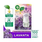Bg Store Elektrikli Oda Kokusu Esansiyel Yağlar Cihaz + Yedek Şişe Lavanta