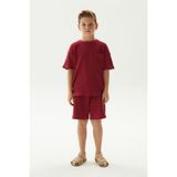 Bg Store Erkek Çocuk Kiremit T-Shirt - 14 Yaş